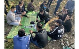 Bắt giữ 25 đối tượng bộ đội tổ chức đánh bài trong rừng